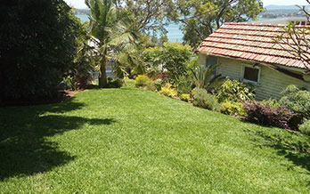 Lawn mowed for house Shoals Bay, NSW